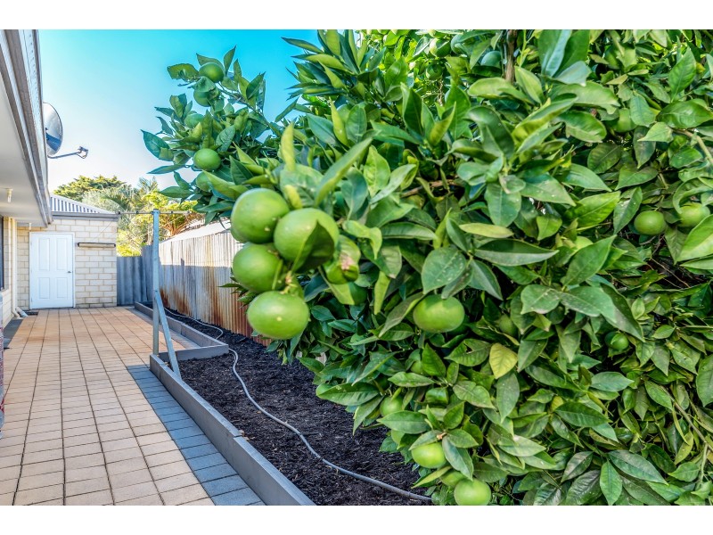 11 Hayes Court, Ravenswood WA 6208