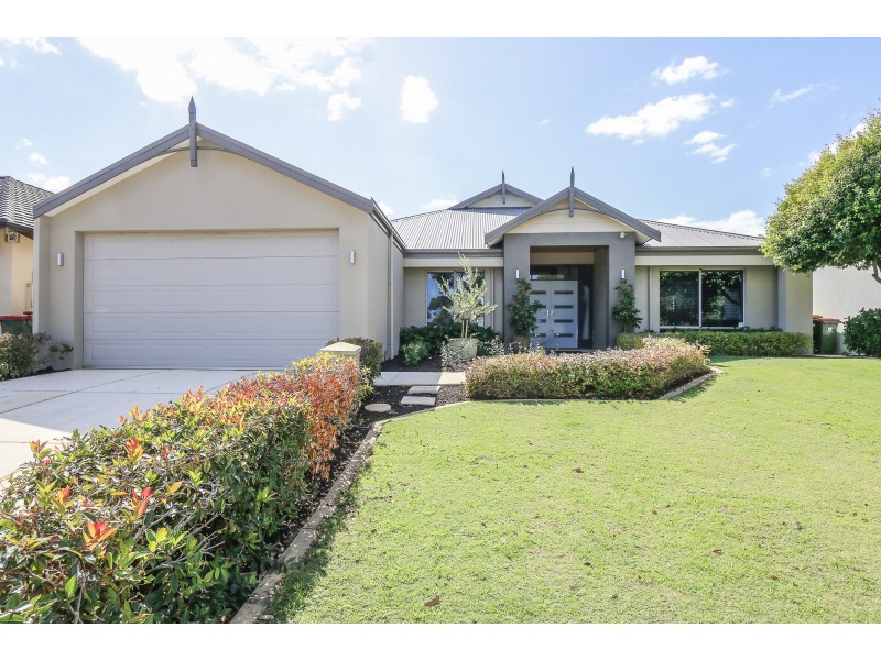 13 Sunrose Link, Stirling WA 6021