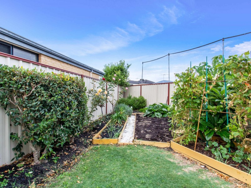 36 Cesare Circle, Madeley WA 6065