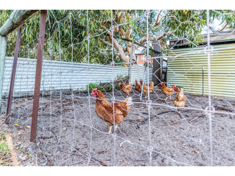 60 Tranquil Retreat, Barragup WA 6209