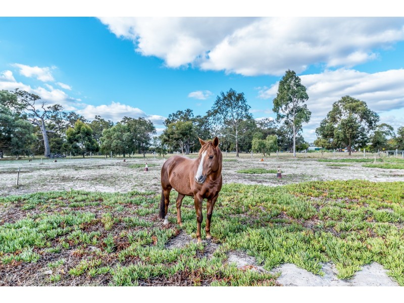 60 Tranquil Retreat, Barragup WA 6209
