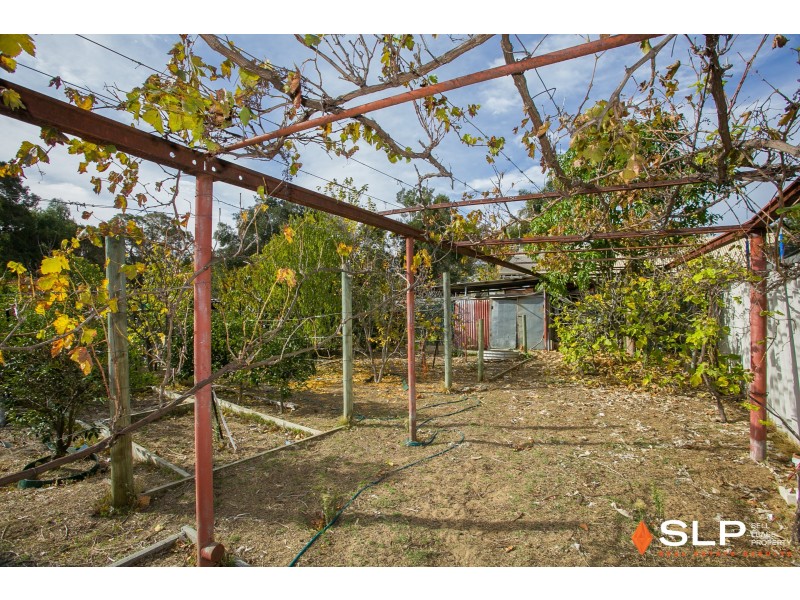 18 Paget Street, Hilton WA 6163