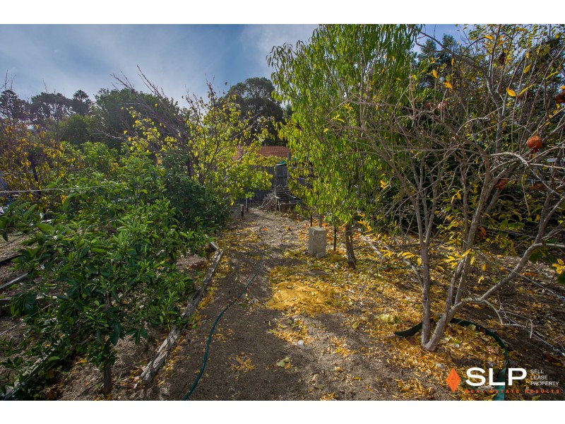 18 Paget Street, Hilton WA 6163