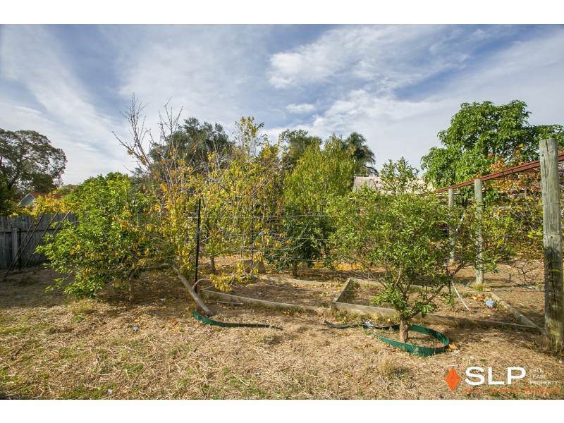 18 Paget Street, Hilton WA 6163