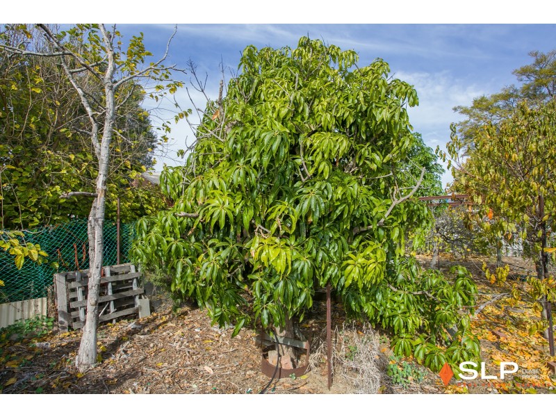 18 Paget Street, Hilton WA 6163