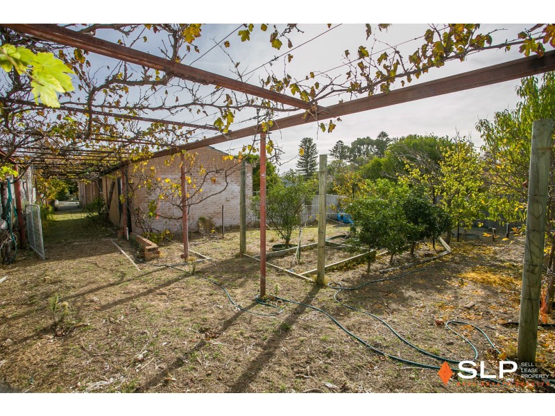 18 Paget Street, Hilton WA 6163