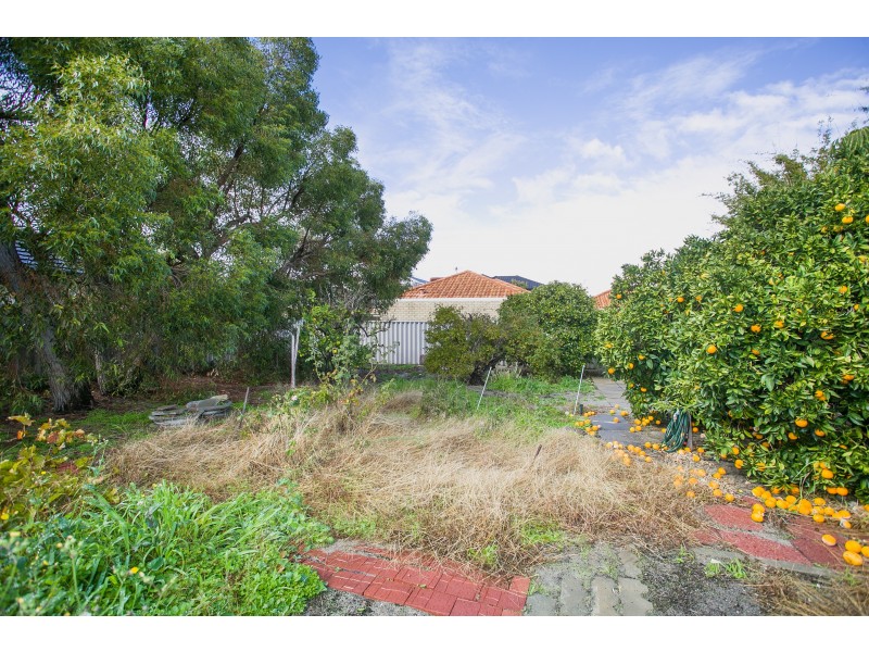 3 Oakney Avenue, Nollamara WA 6061