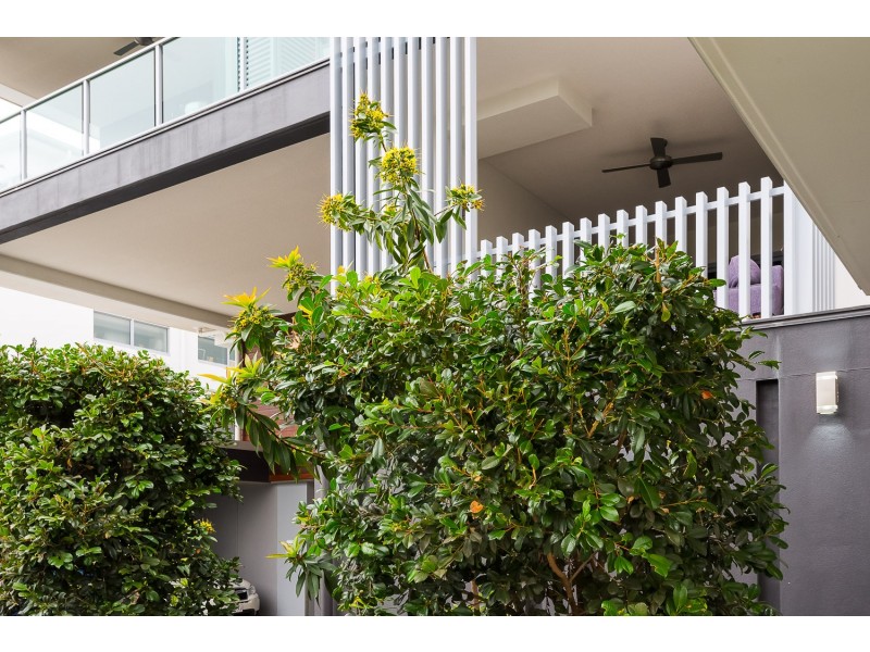 3/9 Durham Street, Coorparoo QLD 4151