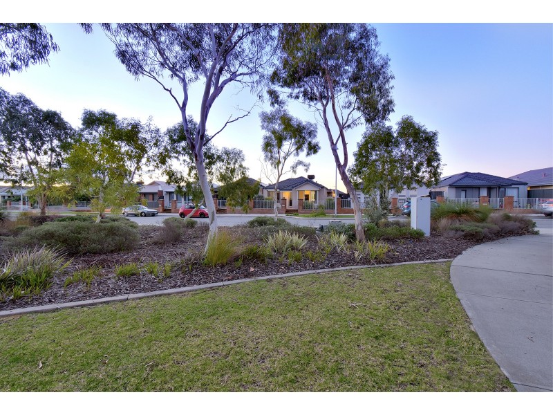8 Protea Way, Banksia Grove WA 6031