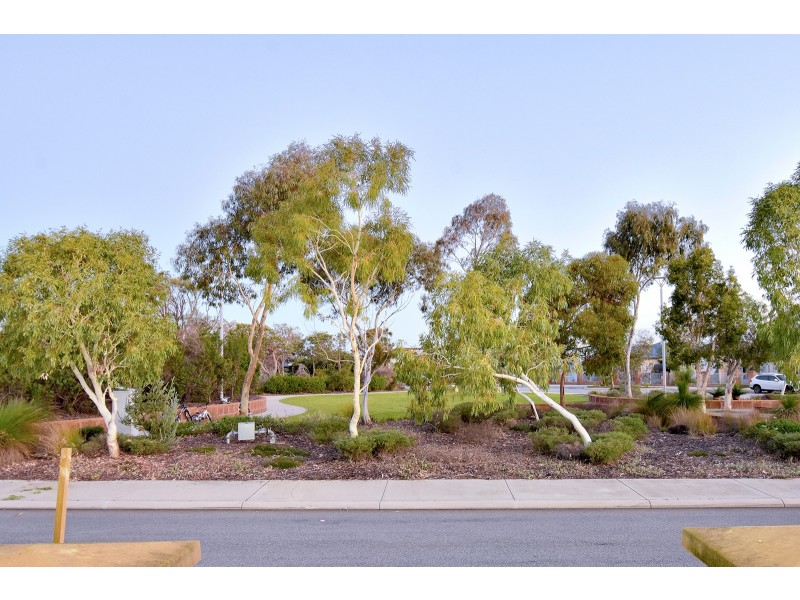 8 Protea Way, Banksia Grove WA 6031
