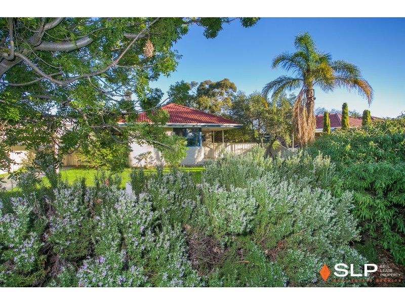 31 Williams Road, Coolbellup WA 6163
