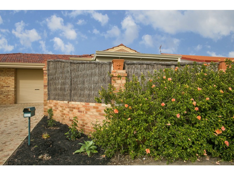 1/310 Albert Street, Balcatta WA 6021