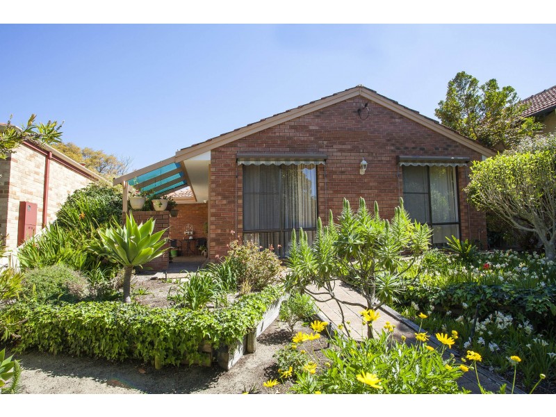 11 Leura Street, Nedlands WA 6009