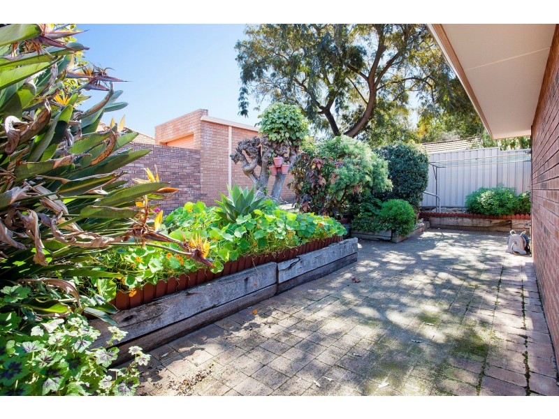 11 Leura Street, Nedlands WA 6009