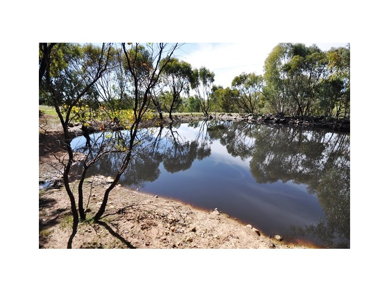 42 Ferguson Road, Coondle WA 6566