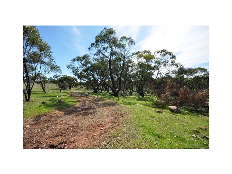 42 Ferguson Road, Coondle WA 6566