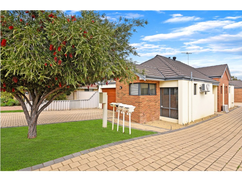 71D Collier Avenue, Balcatta WA 6021