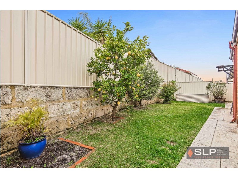 22 Lareema Gardens, Banksia Grove WA 6031