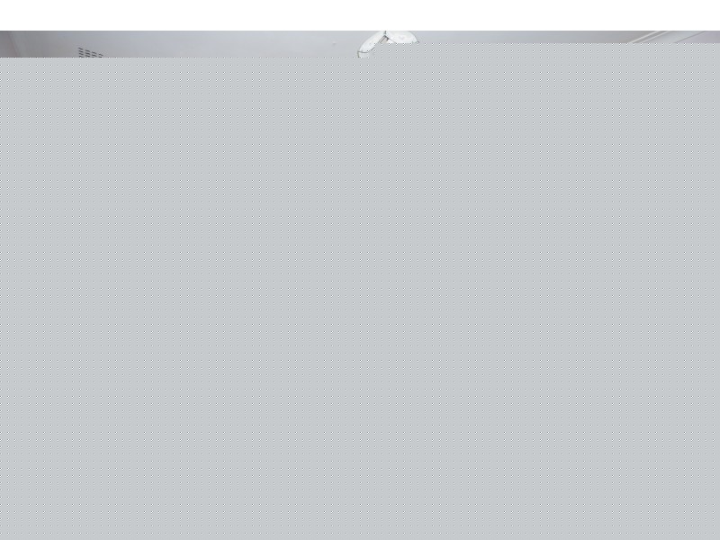 74 Nicholas Crescent, Hilton WA 6163