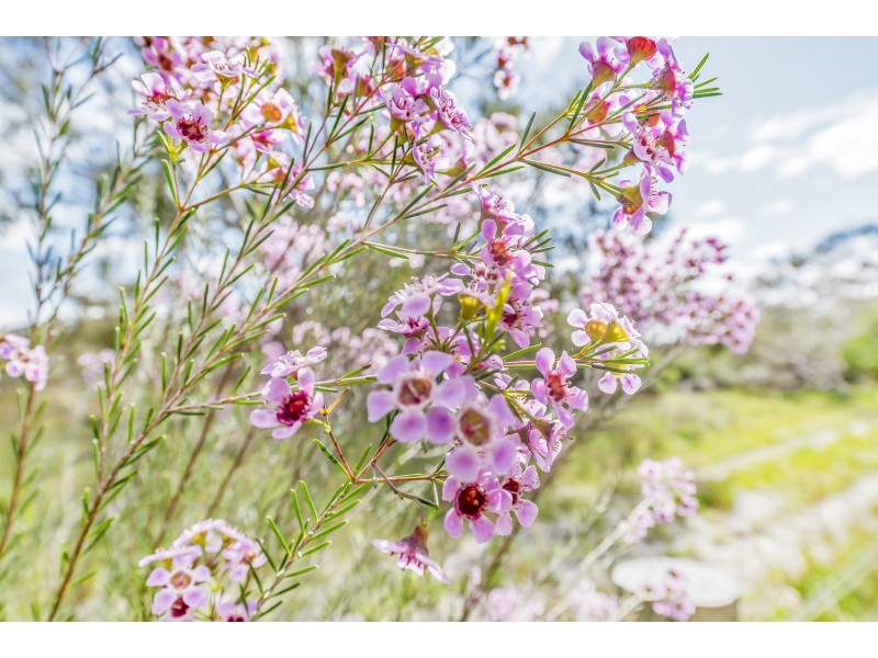 339 Taylor Road, Forrestdale WA 6112