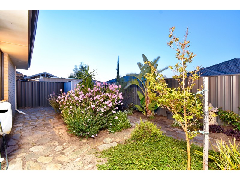 28 Oligantha Elbow, Banksia Grove WA 6031