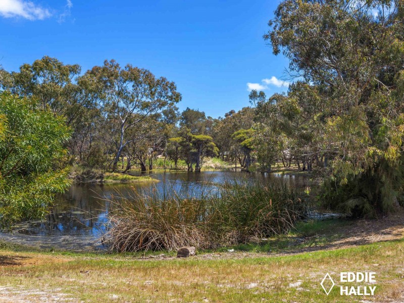 16 Osprey Drive, Yangebup WA 6164
