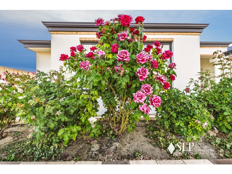 1 Birmingham Way, Darch WA 6065