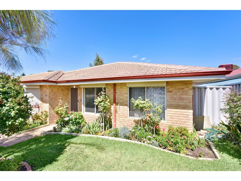 54 Viridian Drive, Banksia Grove WA 6031