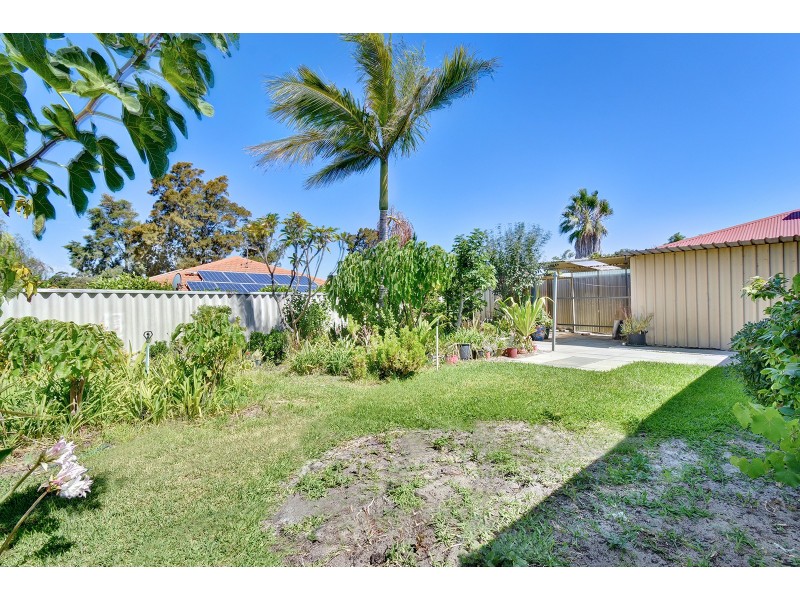 54 Viridian Drive, Banksia Grove WA 6031