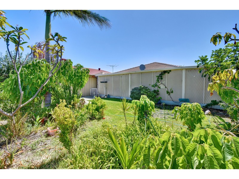 54 Viridian Drive, Banksia Grove WA 6031