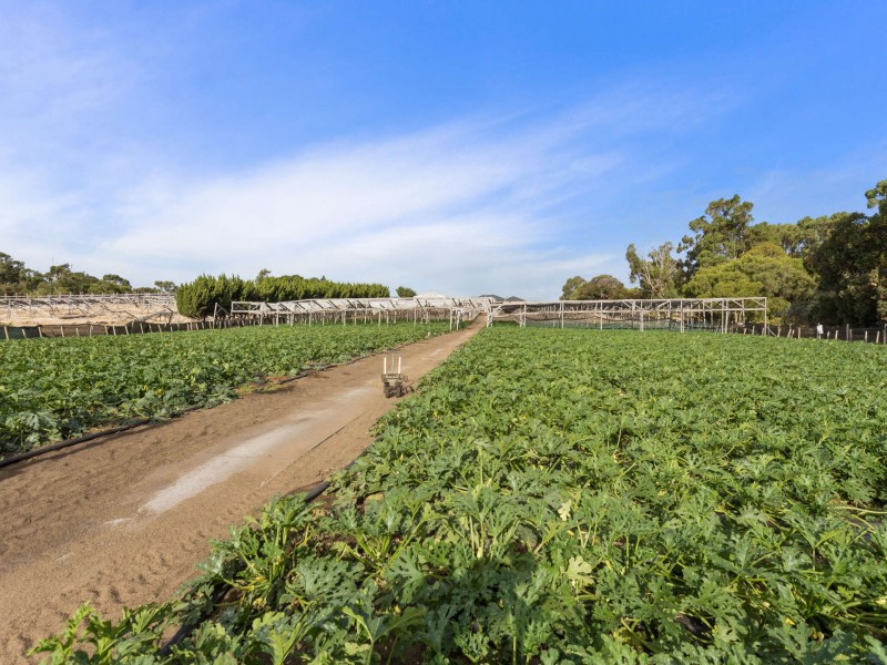 204 Henderson Road, Munster WA 6166