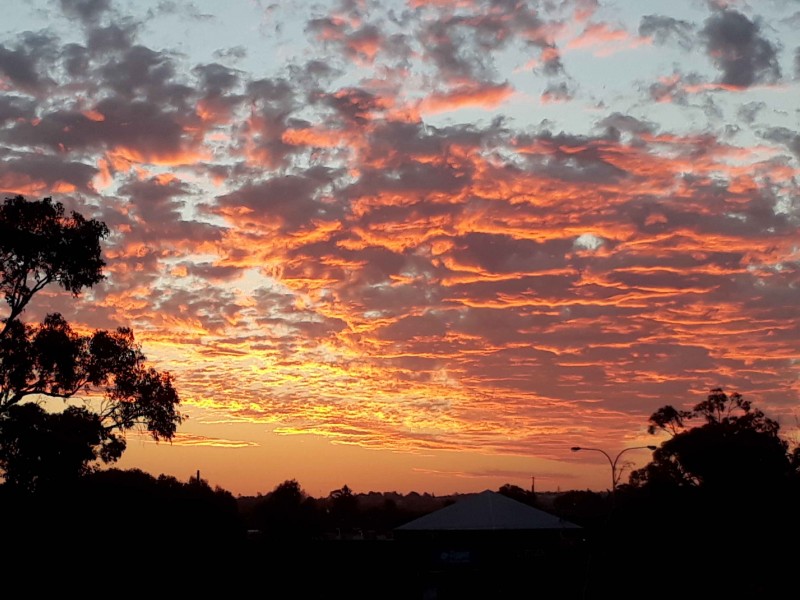 67 Wisteria Parade, Edgewater WA 6027