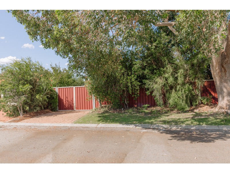 1 Woodbine Loop, Tapping WA 6065