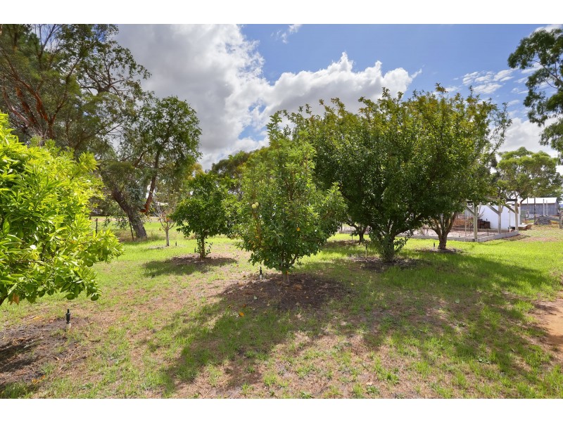 38 Steer Street, Muchea WA 6501