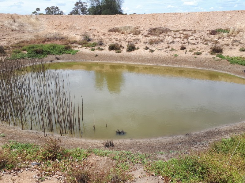 Lot 82 Moramockining Road, Wandering WA 6308