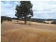 Lot 82 Moramockining Road, Wandering WA 6308