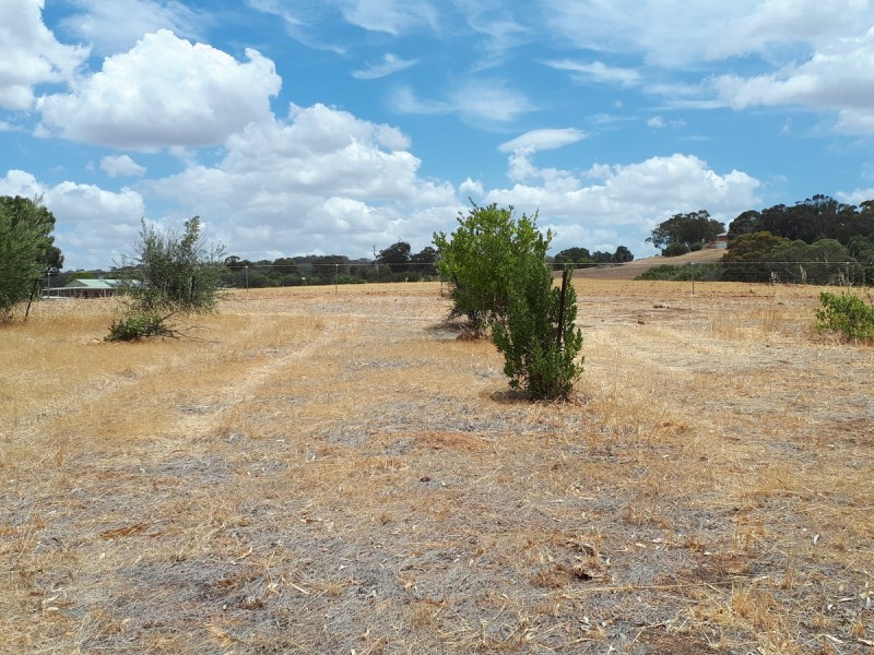 Lot 82 Moramockining Road, Wandering WA 6308
