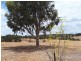 Lot 82 Moramockining Road, Wandering WA 6308