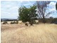 Lot 82 Moramockining Road, Wandering WA 6308