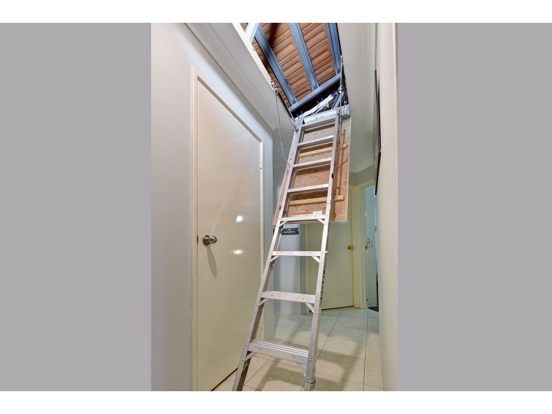 82 Viridian Drive, Banksia Grove WA 6031