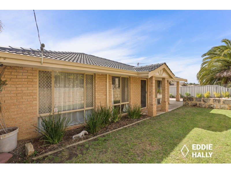 31 Milgun Drive, Yangebup WA 6164