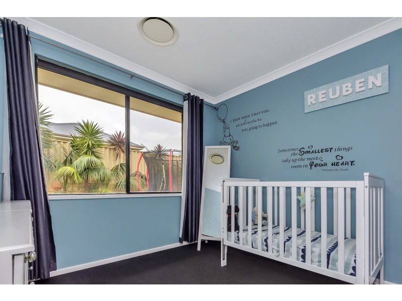 12 Newbridge Green, Butler WA 6036