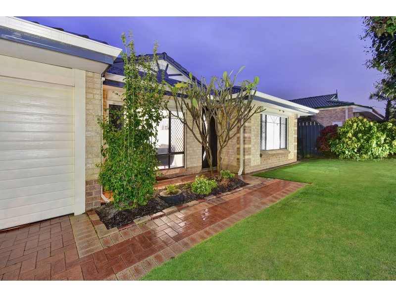 51 Celadon Loop, Banksia Grove WA 6031
