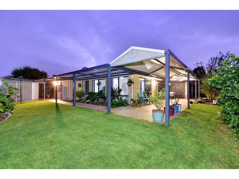 51 Celadon Loop, Banksia Grove WA 6031