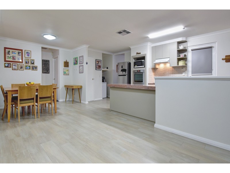 51 Celadon Loop, Banksia Grove WA 6031