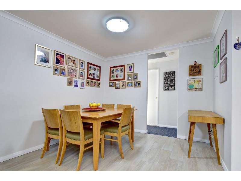 51 Celadon Loop, Banksia Grove WA 6031