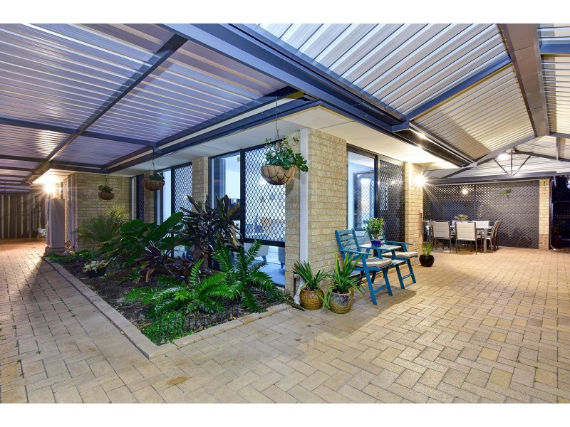 51 Celadon Loop, Banksia Grove WA 6031