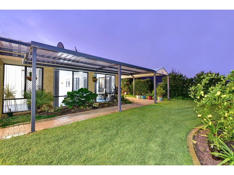 51 Celadon Loop, Banksia Grove WA 6031