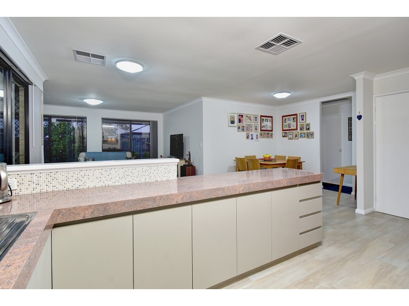 51 Celadon Loop, Banksia Grove WA 6031