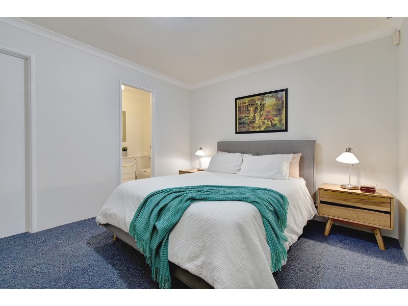 51 Celadon Loop, Banksia Grove WA 6031